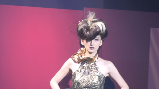 ヴィサージュクリエーション様 20周年ヘアショー